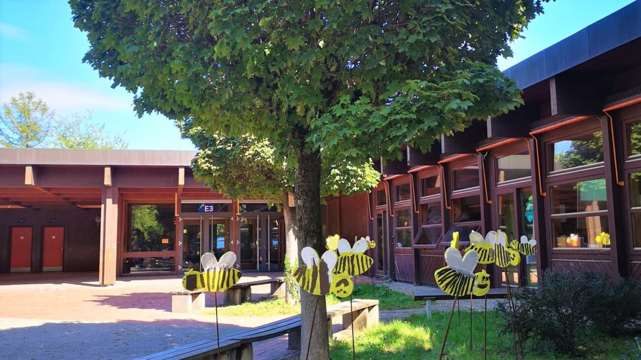 WhatsApp-Image-2020-01-15-at-16.26.5234-1