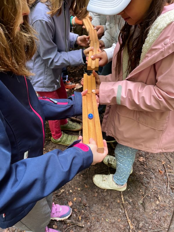 Waldbande1