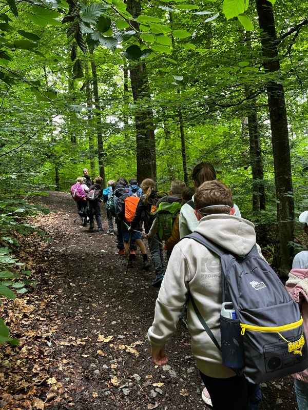Waldbande2